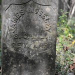 Headstone Reads: James Moseley S.C. Mil. Rev. War